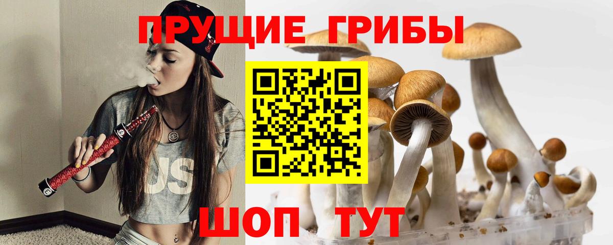 Москва  Галлюциногенные грибы мицелий  Вход с VPN 